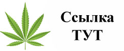 Купить наркотики в Новоалтайске